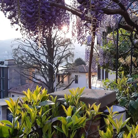 Giardino Quarcino House דירה